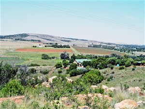 43 ha Farm in Rietfontein