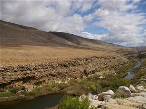Farm in Calvinia