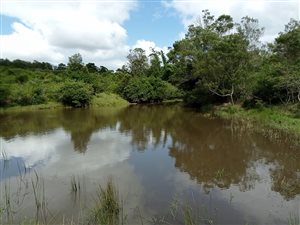 34 ha Farm in Beacon Bay
