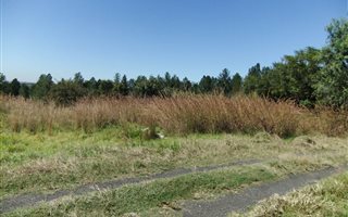 2 ha Land available in Linbro Park