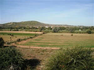 1079 m² Land available in Oudtshoorn