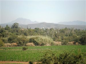 1079 m² Land available in Oudtshoorn