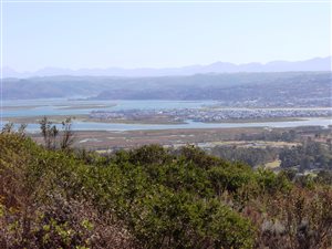 1014 m² Land available in Pezula Golf Estate