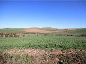 861.6 ha Farm in Swellendam