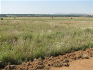 4 ha Land available in Mooiplaats AH