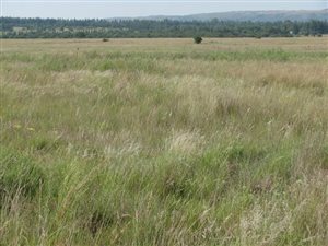 4 ha Land available in Mooiplaats AH
