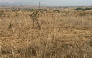 8.6 ha Land available in Polokwane Central