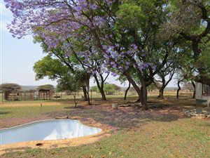 21 ha Farm in Lusthof