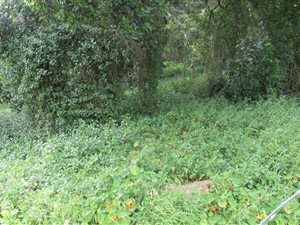 600 m² Land available in Costa Sarda