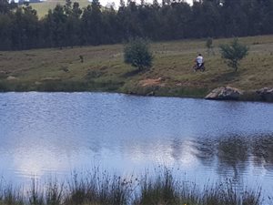 169 ha Farm in Maclear