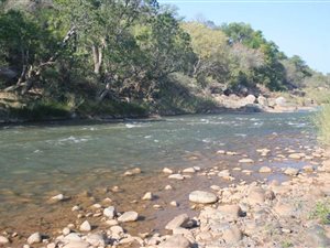 21 ha Land available in Ndlovumzi