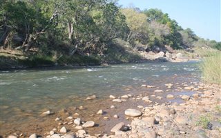 21 ha Land available in Ndlovumzi