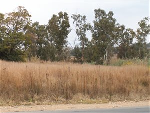 4.5 ha Land available in Glen Austin