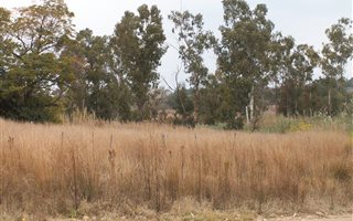 4.5 ha Land available in Glen Austin