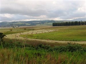 286 ha Farm in Lions River