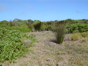 1095 m² Land available in St Francis Links