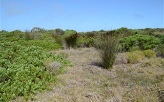 1095 m² Land available in St Francis Links