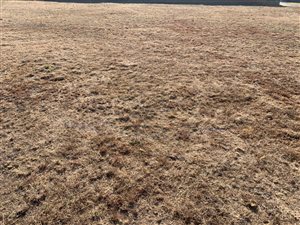 758 m² Land available in Savannah Country Estate