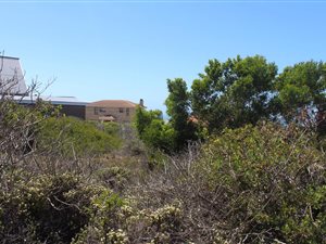 925 m² Land available in Boggomsbaai