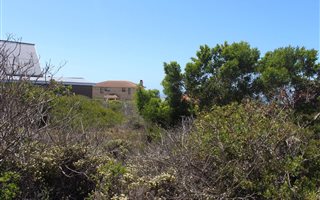 925 m² Land available in Boggomsbaai