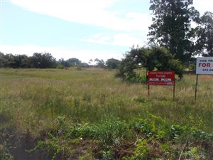 6595 m² Land available in White River Central