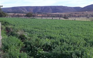 190 ha Farm in Vanwyksdorp