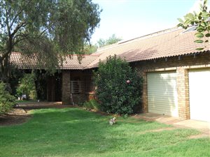 4.3 ha Farm in Rietfontein