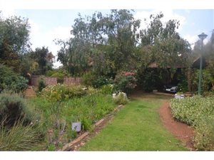 4.3 ha Farm in Rietfontein