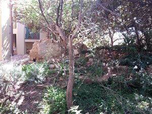 1 Bedroom Townhouse in Wapadrand