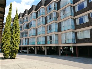 Studio Apartment in Arcadia