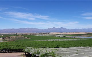 594 m² Land available in Riebeek Kasteel