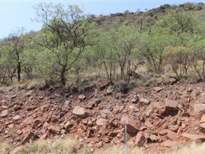 1000 m² Land available in Presidentsrus
