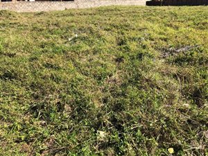 612 m² Land available in Brackenham