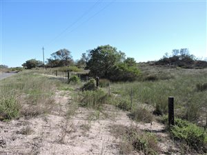 20.7 ha Farm in Hopefield