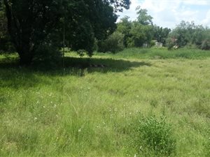 3333 m² Land available in Aliwal North