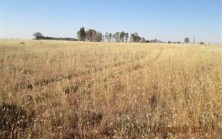 21.4 ha Land available in Kenilworth