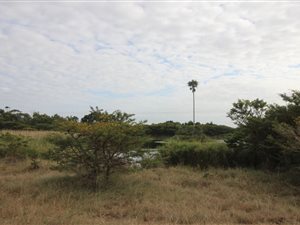 24.3 ha Farm in Cintsa