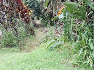 1363 m² Land available in Palm Beach