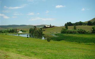 1508 m² Land available in Underberg