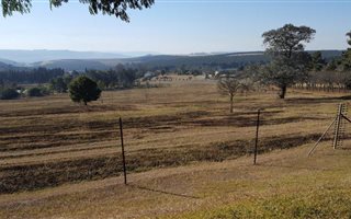 6.8 ha Farm in Wartburg