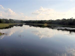 42.8 ha Farm in Tzaneen