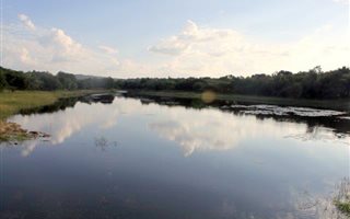 42.8 ha Farm in Tzaneen