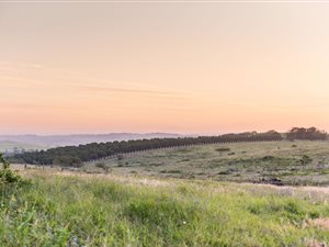 1340 m² Land available in Seaton Estate