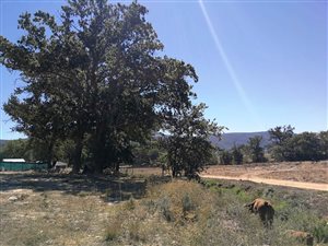 500 m² Land available in Paarl