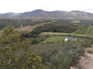 873 ha Farm in Heidelberg