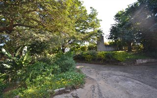 8094 m² Farm in Ballito