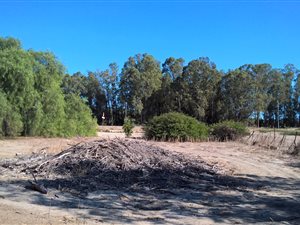 2894 m² Land available in Hopefield