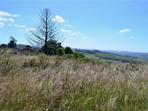 4.9 ha Land available in Verulam