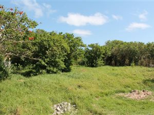 886 m² Land available in Forest Downs