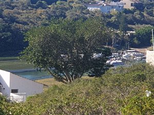 766 m² Land available in Boesmansriviermond